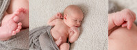 Baby Maverick